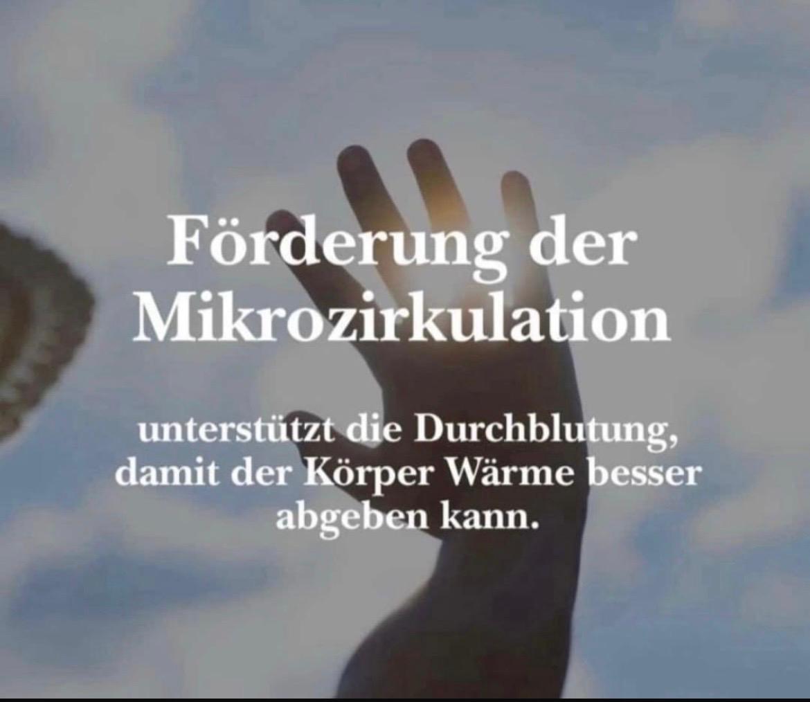 BEMER-Informationsgrafik 4: Aussagen zur Mikrozirkulation
